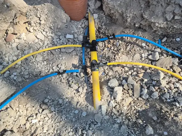 Multi-utility service connection — water, gas and cable